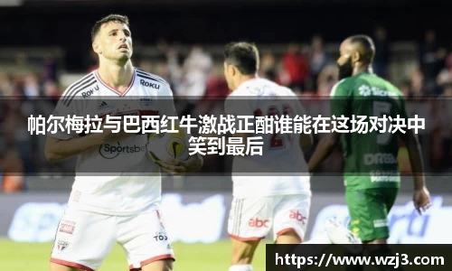 NBA买球正规帕尔梅拉与巴西红牛激战正酣谁能在这场对决中笑到最后